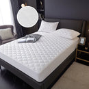 2X1 CUBRECOLCHON ANTIDERRAME + 2 ALMOHADAS INTELIGENTES DE REGALO (ENVÍO GRATIS)